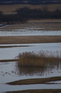 Fot. Karolina Bekker