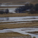 Fot. Karolina Bekker