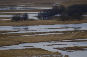 Fot. Karolina Bekker