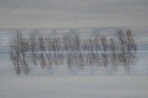 Fot. Karolina Bekker