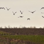 Fot. Karolina Bekker