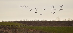 Fot. Karolina Bekker