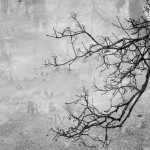 Fot. Karolina Bekker