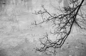 Fot. Karolina Bekker