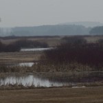 Fot. Karolina Bekker