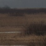 Fot. Karolina Bekker