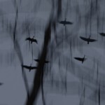 Fot. Karolina Bekker