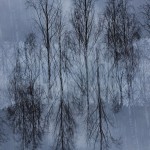 Fot. Karolina Bekker