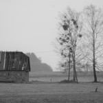 Fot. Karolina Bekker