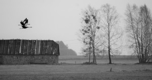 Fot. Karolina Bekker