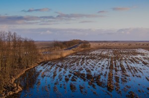 Fot. Wiesława Zabrocka