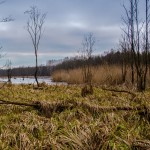 Fot. Wiesława Zabrocka