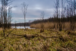 Fot. Wiesława Zabrocka