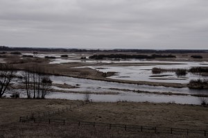Fot. Wiesława Zabrocka