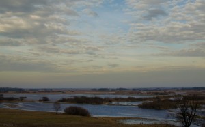 Fot. Wiesława Zabrocka