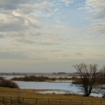 Fot. Wiesława Zabrocka