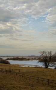 Fot. Wiesława Zabrocka