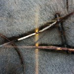 Fot. Zbyszek Laskowski