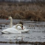 Fot. Halina Baćmaga