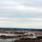 Fot. Zbyszek Laskowski