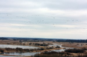 Fot. Zbyszek Laskowski