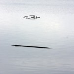 Fot. Zbyszek Laskowski