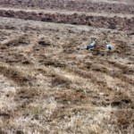 Fot. Zbyszek Laskowski