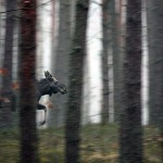 Fot. Zbyszek Laskowski