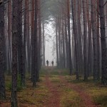 Fot. Zbyszek Laskowski