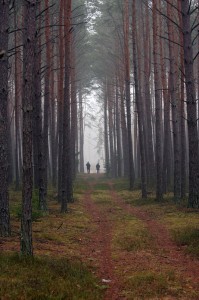 Fot. Zbyszek Laskowski