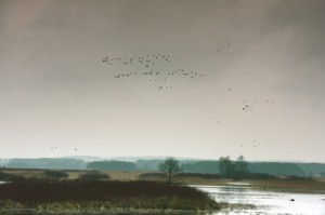 Fot. Zbyszek Laskowski