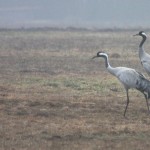 Fot. Halina Baćmaga