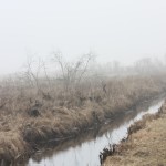 Fot. Halina Baćmaga