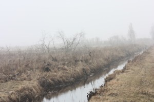 Fot. Halina Baćmaga