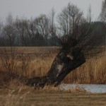 Fot. Halina Baćmaga