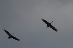 Fot. Halina Baćmaga