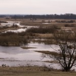 Fot. Małgorzata Oracz