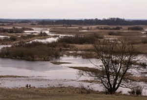 Fot. Małgorzata Oracz