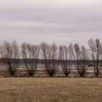 Fot. Małgorzata Oracz