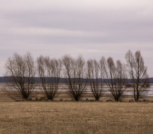 Fot. Małgorzata Oracz