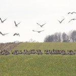 Fot. Katarzyna Kalinowska