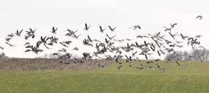 Fot. Katarzyna Kalinowska