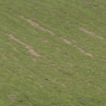 Fot. Katarzyna Kalinowska