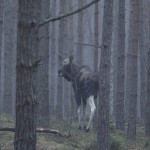 Fot. Katarzyna Kalinowska