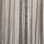 Fot. Katarzyna Kalinowska