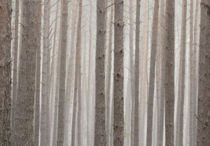 Fot. Katarzyna Kalinowska
