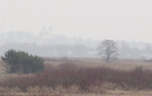 Fot. Katarzyna Kalinowska