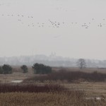 Fot. Katarzyna Kalinowska