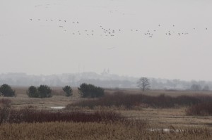 Fot. Katarzyna Kalinowska