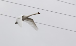 Fot. Katarzyna Kalinowska